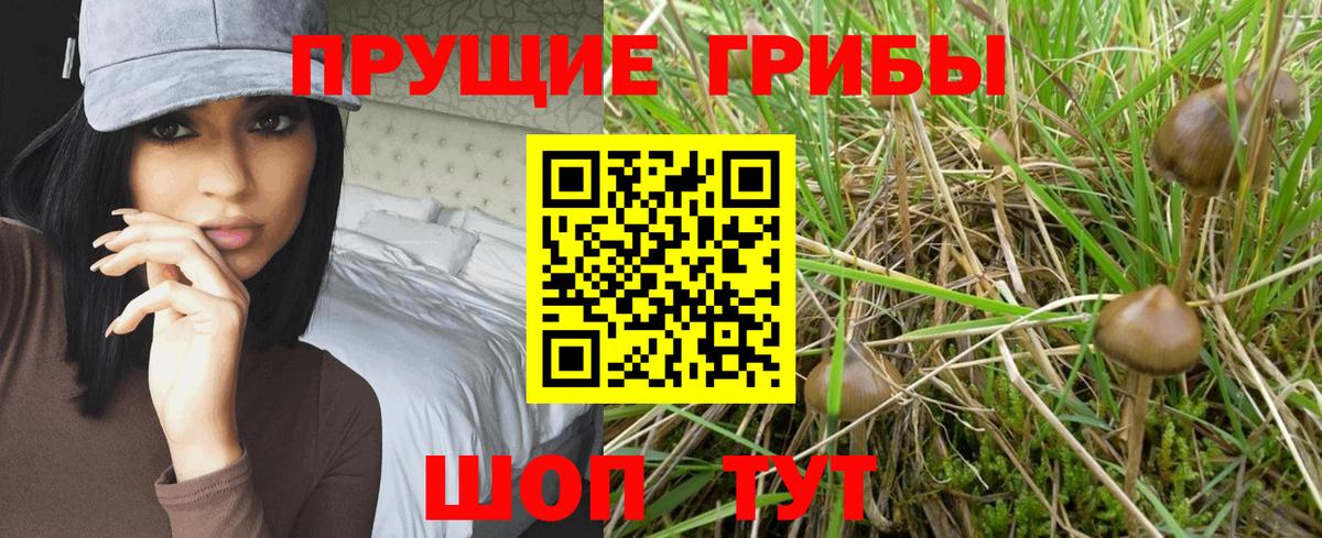 Шахты  Псилоцибиновые грибы Cubensis  Вход с VPN 