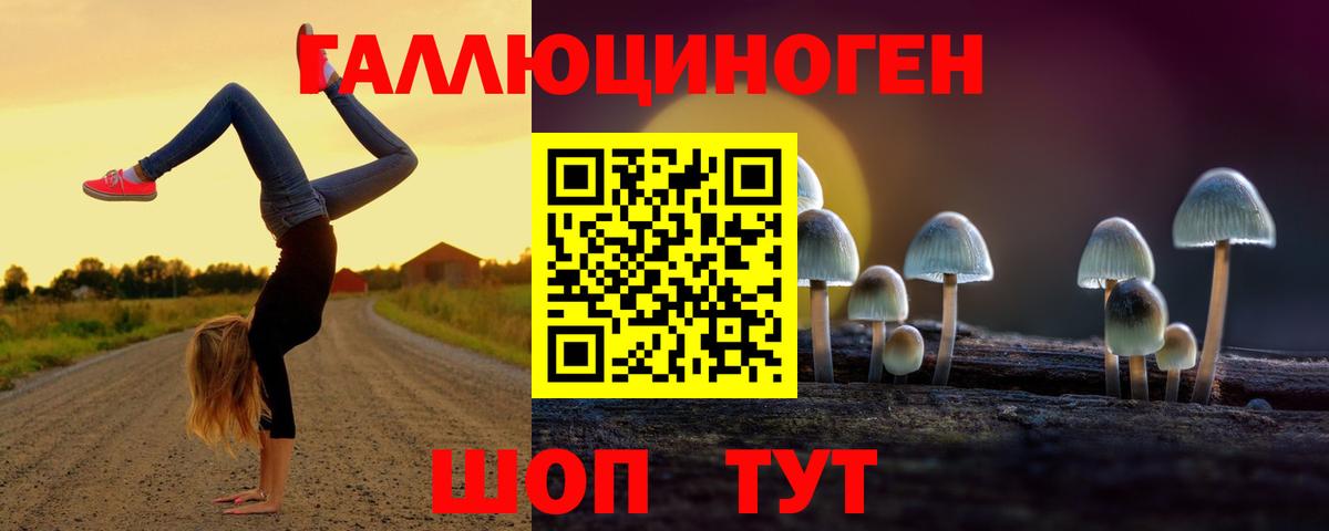 Галлюциногенные грибы мухоморы Шахты